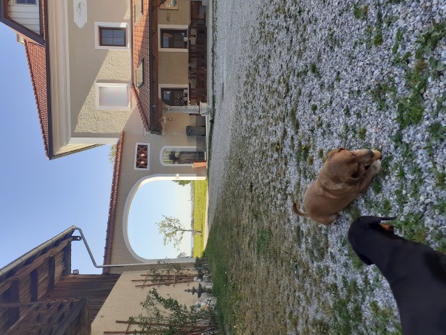 HofEinfahrtBrownieSchoko