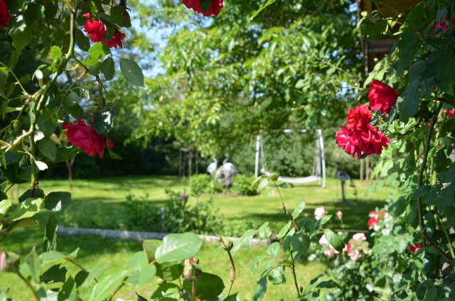 EindruckGartenanlage1