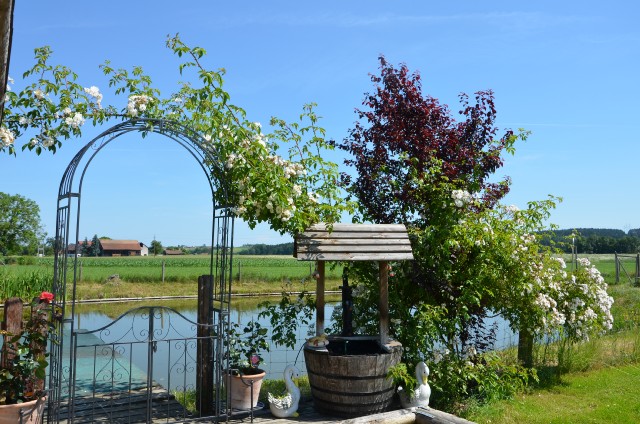 EindruckRosenbogenWeier2